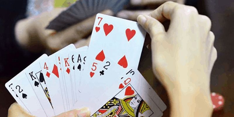 Chơi phỏm mỗi ngày để rèn luyện tư duy và tích lũy quà hấp dẫn